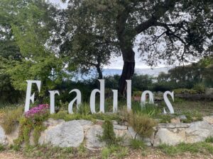 Vingården Fradiles i Atzara på Sardinien